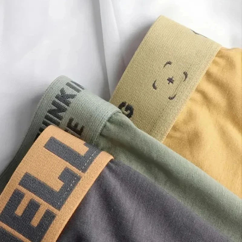 5Pcs Mens Underwear Male Boxers Sexy Underpants Comfortable Breathable Fashion Boys Panties Underwear Boxershorts Men - Image 3