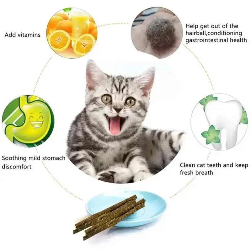 6-24Pcs Natural Matatabi Cat Stick Mint Caught Bite Excited Rods Silvervine For Cat Teeth Cleaning Treating Pet Supply Cat Toys - Image 6