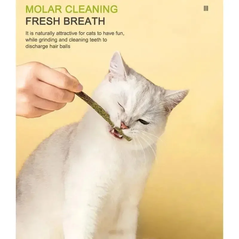 6-24Pcs Natural Matatabi Cat Stick Mint Caught Bite Excited Rods Silvervine For Cat Teeth Cleaning Treating Pet Supply Cat Toys - Image 3
