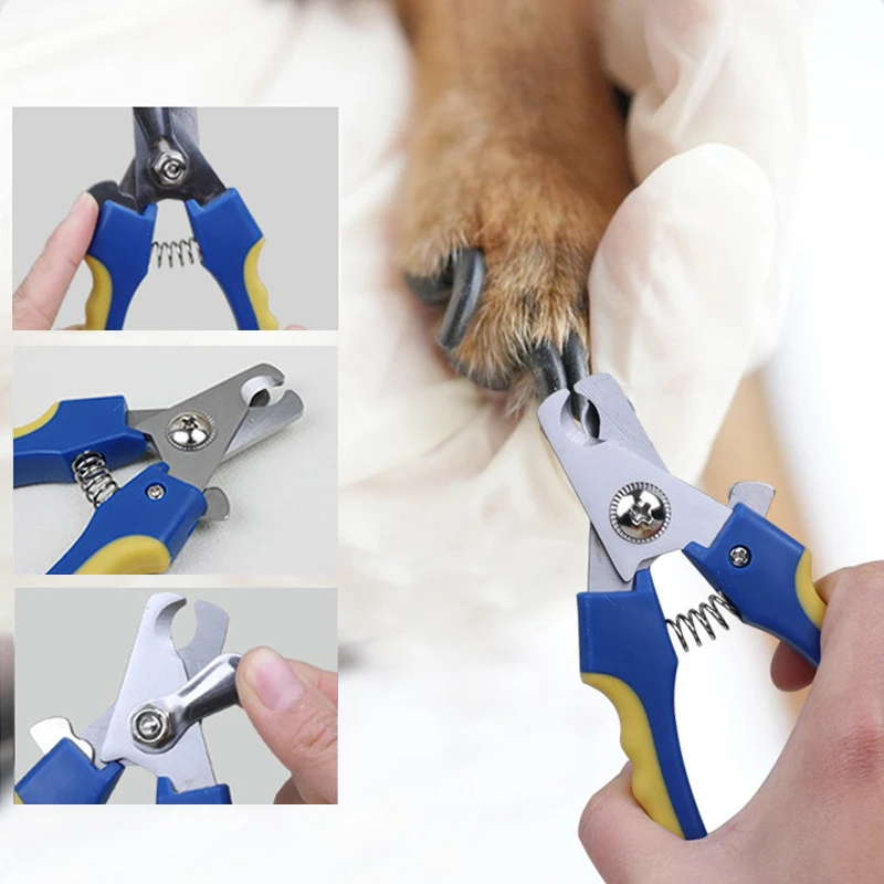 8pcs Complete Grooming Pet Brush Beauty Kit Cleaning Brush Storage Bag Dogs Nail Clipper Flea Comb Cat Hair Removal Brush Kits - Image 3