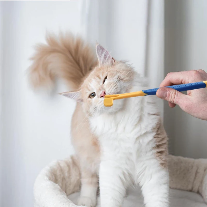 8pcs Complete Grooming Pet Brush Beauty Kit Cleaning Brush Storage Bag Dogs Nail Clipper Flea Comb Cat Hair Removal Brush Kits - Image 6
