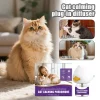 Cat Calm Plug In Diffuser Stress Relief And Soothing Behavior Emotional Balance And Stability Cat calming plug-in diffuser