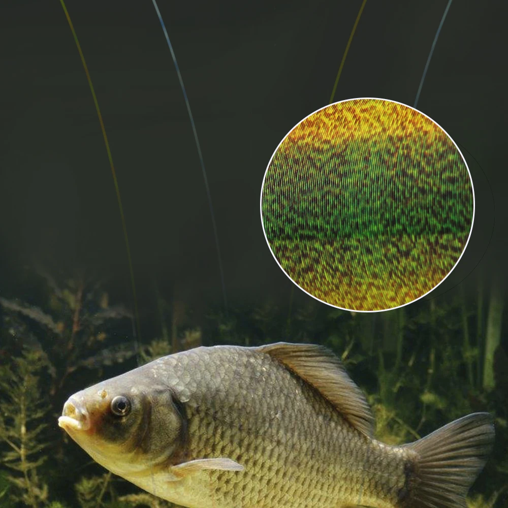 FTK 300/500m Invisible Fishing Line Speckle Fluorocarbon Coating Line 0.20mm-0.50mm 4.13LB-34.32LB Super Strong Spotted Line - Image 4