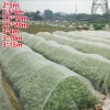 Garden Insect Protection Net for Plant Vegetables Fruit Care Cover Flower Tiny Pests Control Anti-Bird Supplies Garden Accessory