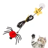 Interactive Cat Toys For Bored Adult Cats And Kittens Play Chase Exercise,Indoor Kitten Play Chase Exercise Physical Stimulation