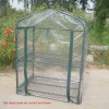 Mini Portable Garden Green House Warm Greenhouse Flower Plants Gardening Outdoor Without Stand Warm Garden House Warm Greenhouse