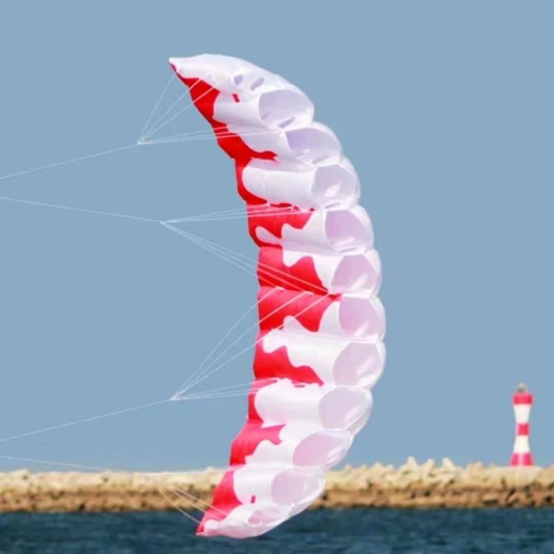 New beginner kitesurf dual Line Stunt power Kite for adults kite parafoil parachute surfing sport kites professional kite serial - Image 3