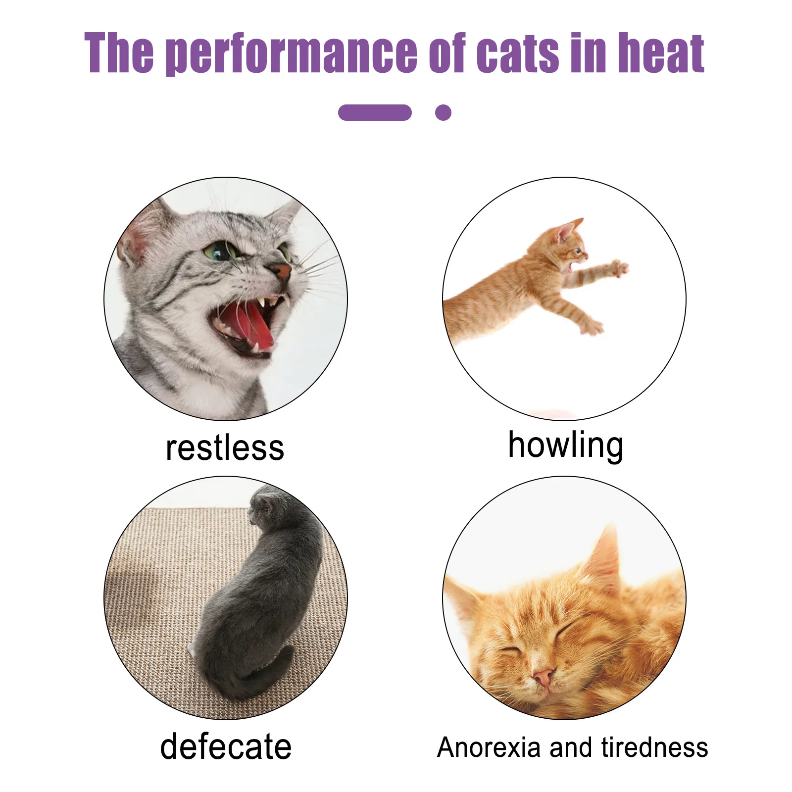 Pet Calming Spray Pheromone Mood Calming Diffuser Improve Estrus Agitation Anxiety Relief Prevent Howling Cat Dog Health Supply - Image 2