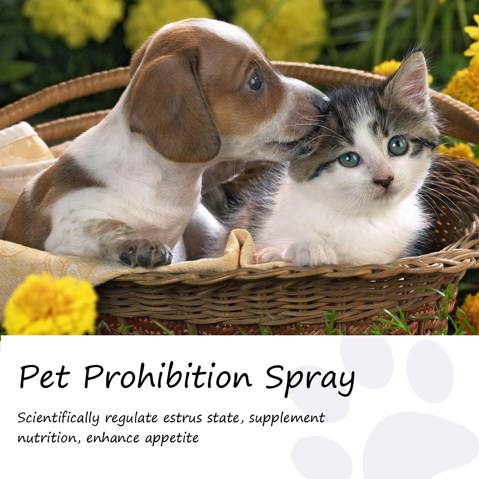 Pet Calming Spray Pheromone Mood Calming Diffuser Improve Estrus Agitation Anxiety Relief Prevent Howling Cat Dog Health Supply - Image 4