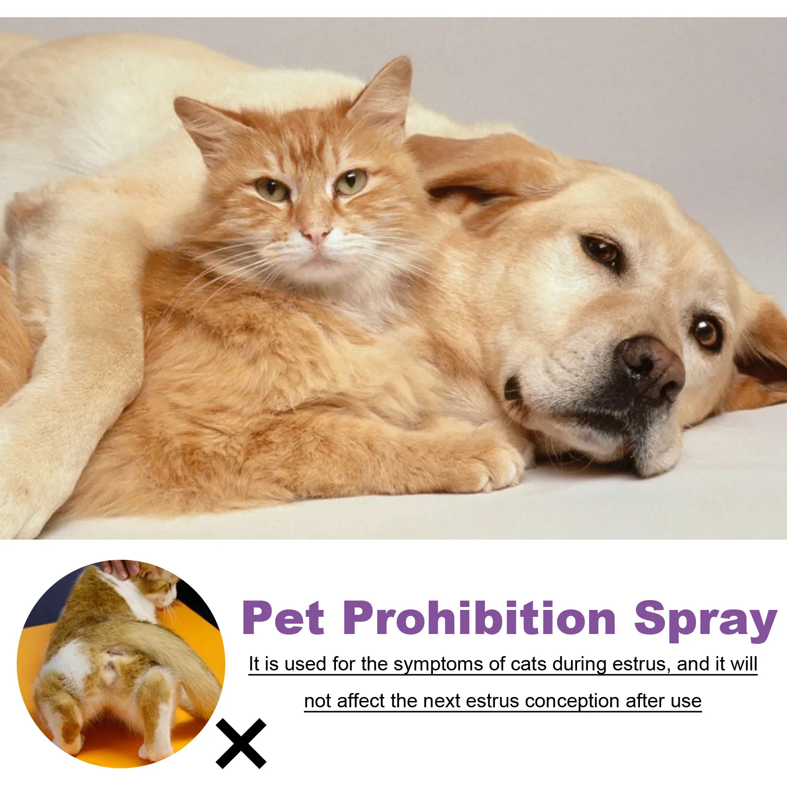 Pet Calming Spray Pheromone Mood Calming Diffuser Improve Estrus Agitation Anxiety Relief Prevent Howling Cat Dog Health Supply - Image 3