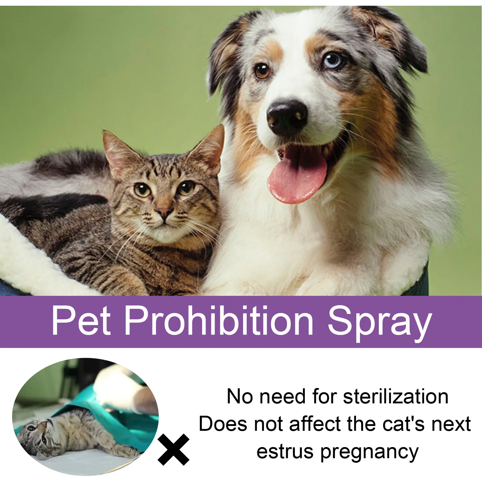 Pet Calming Spray Pheromone Mood Calming Diffuser Improve Estrus Agitation Anxiety Relief Prevent Howling Cat Dog Health Supply - Image 5