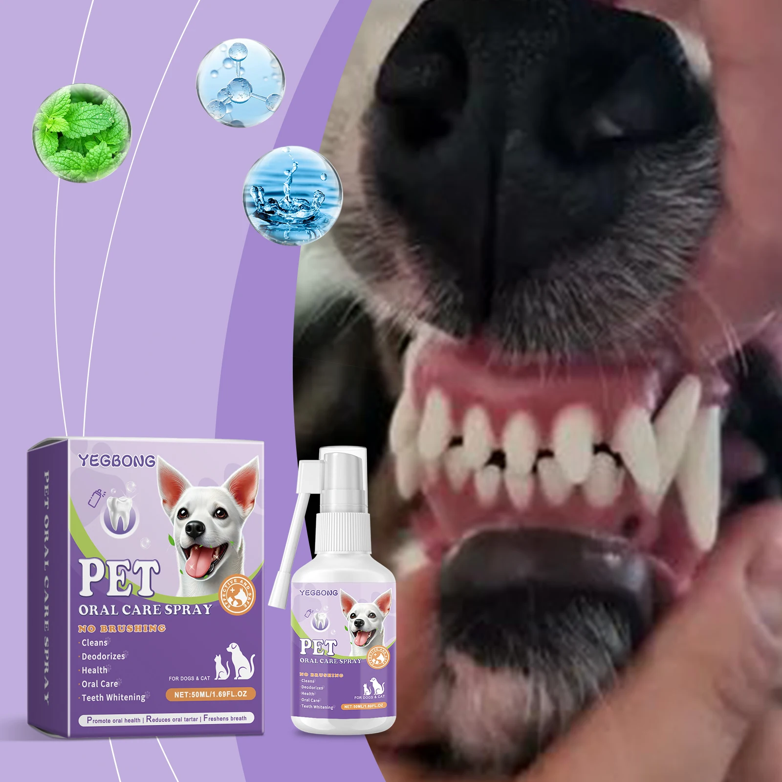 Pet Flea Spray Spray Effectively Removing Fleas Ticks Relieve Skin Itching Natural Ingredients Non Irritating Pet Flea Repellent - Image 3