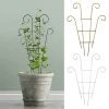 Plant Support Garden Stake Stand Vine Climbing Rack Flower Trellis Frame Stand Holder Garden Balcony Climbing Plant Metal Rack