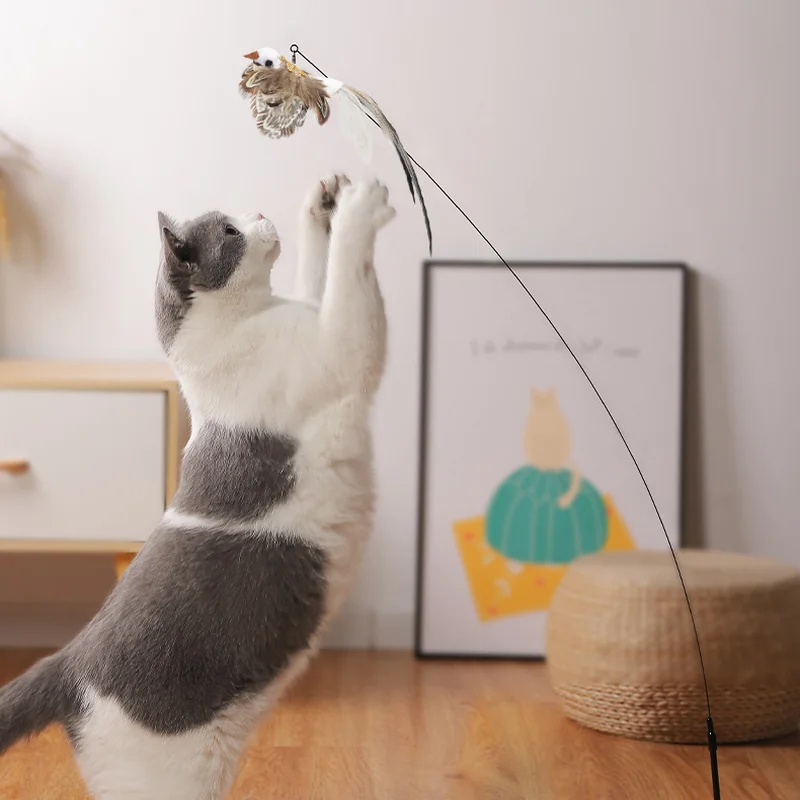 Simulation Bird interactive Cat Toy Funny Feather Bird with Bell Cat Stick Toy for Kitten Playing Teaser Wand Toy Cat Supplies - Image 4