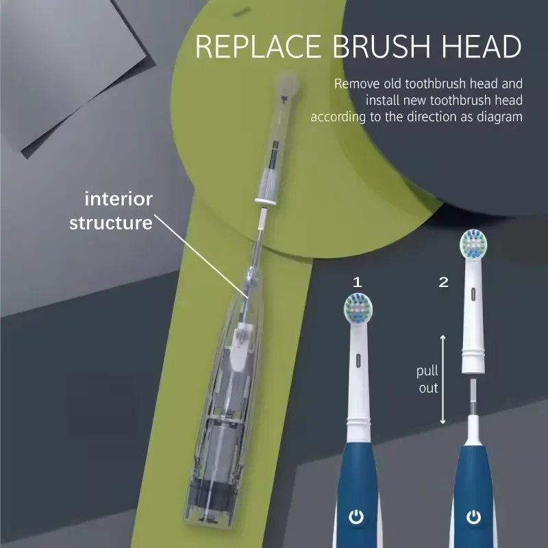 Sonic Electric Toothbrush Rounded 3D Vibrate Teeth Brush Rotation Gum Care Soft Bristle Heads Battery Power Teeth Whitening - Image 6