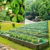 Special Bird Repellent Net for Vegetable and Orchard1Sheet Mesh Bird-Resistant Fence Plant Flower Insect Protection Net