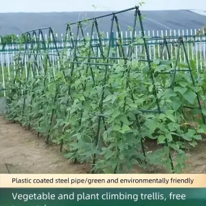 "Sturdy Growth" 20Pack Multi-Purpose Plant Support Stakes - Durable Vegetable & Vine Trellis For Tomatoes, Cucumbers, Grapes