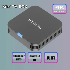 Super Mini Wudung TX1 TV Box Android10 Quad Core USB 2.4G Wifi 4K HDR Set Top Box Portable Video Movice TV Channel Media Player