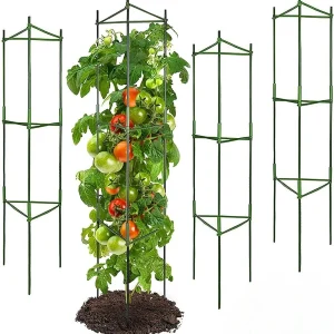 Tomato Cage, Up To 51 Inches Of Plant Stakes Vegetable Grids Assembled For Garden Climbing Plants Vegetables Flowers