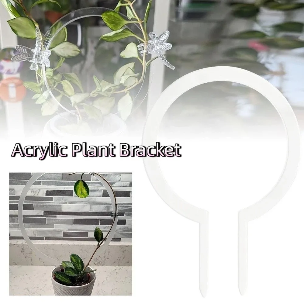 Transparent Acrylic Plant Bracket Round Shape Weather-resistant Climbing Plant Support Sturdy Plant Trellis Indoor Plants - Image 2