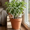 Transparent Acrylic Plant Bracket Round Shape Weather-resistant Climbing Plant Support Sturdy Plant Trellis Indoor Plants