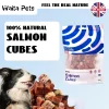 Waita Air Dried Salmon Cube 100g Premium Pet Treats Cat Dog Nutrient Dense Skin Coat Rich Vitamins Minerals