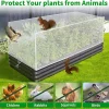 White Garden Insect Protection Net For Plant Vegetables Fruit Care Cover Flowers Tiny Pests Control Anti-Bird Supplies