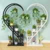 【Lifeideas】Curved 4-Tier Plant Stand Bonsai Display Shelf