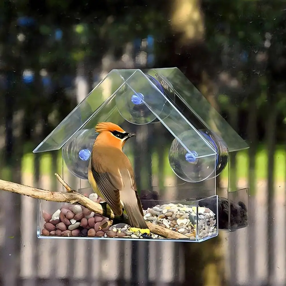 1PC Bird feeder with transparent window and external bird feeder with suction cup suitable for outdoor garden use - Image 5