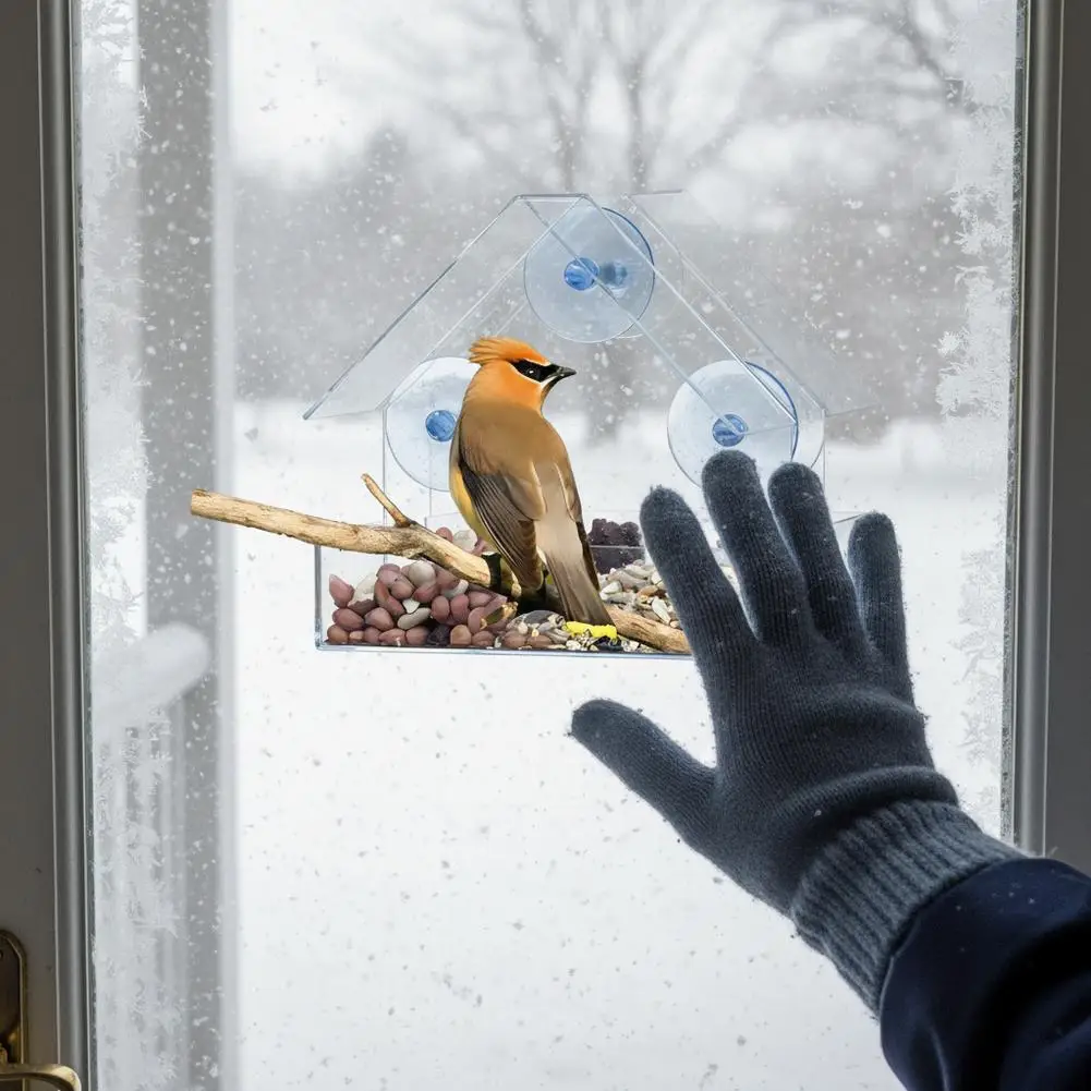 1PC Bird feeder with transparent window and external bird feeder with suction cup suitable for outdoor garden use - Image 6