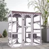 A Large Outdoor Cat Enclosure For Multiple Cats To Walk In Cages With A Waterproof Roof