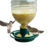 Hanging Automatic Bird Feeder Dark Green Plastic Birdfeeder Large Capacity Seed Tray Squirrel Resistant Outdoor Feeding Station