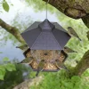 Hanging large-capacity automatic leak-proof hummingbird feeder, specialized feeding supplies for outdoor gardens