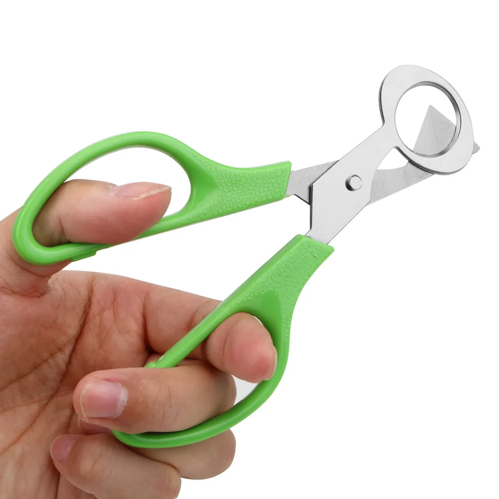 Multifunction Rust Resistant Durable Stainless Steel Blade Quail Egg Shell Scissors Cigar Cutters - Image 4
