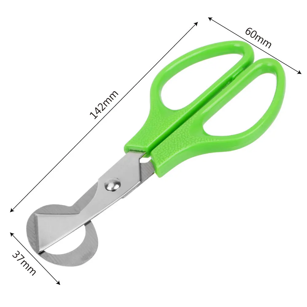 Multifunction Rust Resistant Durable Stainless Steel Blade Quail Egg Shell Scissors Cigar Cutters - Image 6
