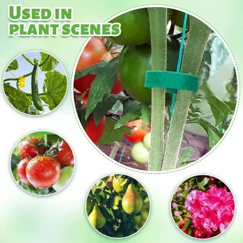100/2M Plant Nylon Cable Tie Green Garden Twine Self Adhesive Adjustable Plants Bandage Hook Loop Support Reusable Fastener Tape - Image 4