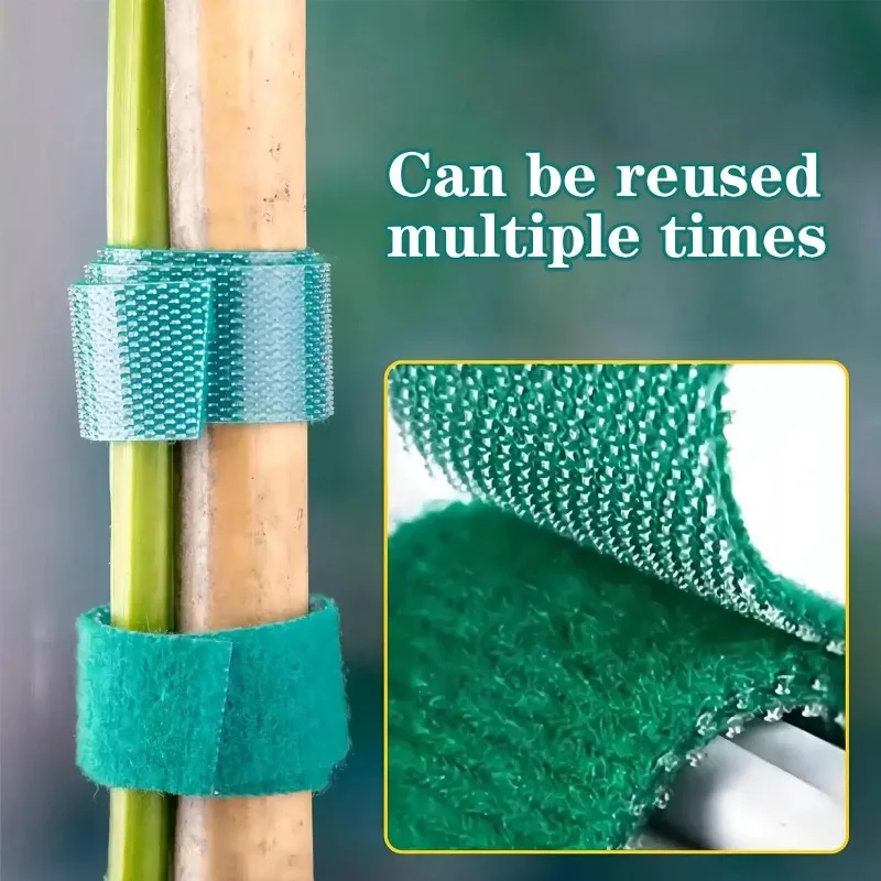 100/2M Plant Nylon Cable Tie Green Garden Twine Self Adhesive Adjustable Plants Bandage Hook Loop Support Reusable Fastener Tape - Image 3