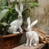 2Pcs Garden Statues Rabbit Statues Home Decor Rabbit Sculptures Resin Statues for Bedroom Indoors Courtyard Bookshelf Office