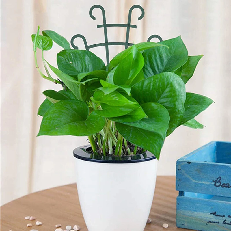 2Pcs Mini Garden Growing Plant Climbing Shelf Trellis Vegetables Flowers Support Plant Pot Frame Garden Decorative Plant Cages - Image 4