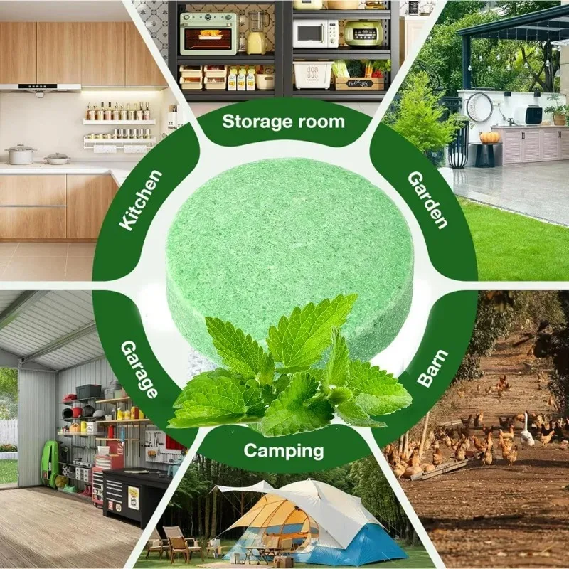 50/5PCS Rodent Repellent Pellets Peppermint Oil Mouse Traps for Rat Mice Roach Nature Insect Control Tools Mouse Deterrent Pills - Image 6