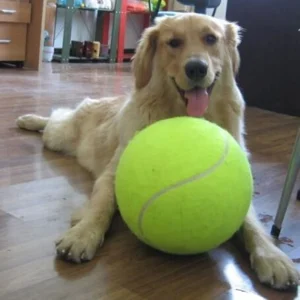 9.5 Inch Dog Tennis Ball Giant Pet Toys Big Inflatable Tennis Ball Kids Ball Pet Dog Interactive Toys Dog Training Supplies