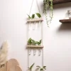 Air Plants Wall Hanging Plant 1/2/3-tier Floating Wall Shelf Flowerpot Boho Art Home Decoration Suitable For Bedroom Living Room