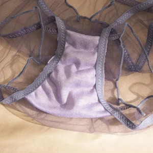 Comfortable Low Waist Lace Thin Panties Bow Ruffle Mesh Briefs Lingerie Seamless Transparent Panties Female