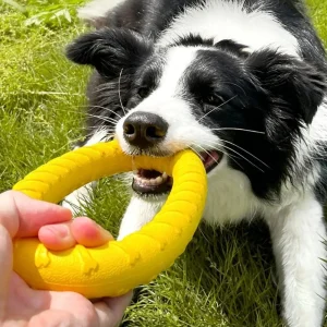 EVA Dog Training Ring Flying Disc Toy Bite Resistant Pet Chew Ring Puller for Large Dogs Shepherd Shiba Inu Interactive Toys