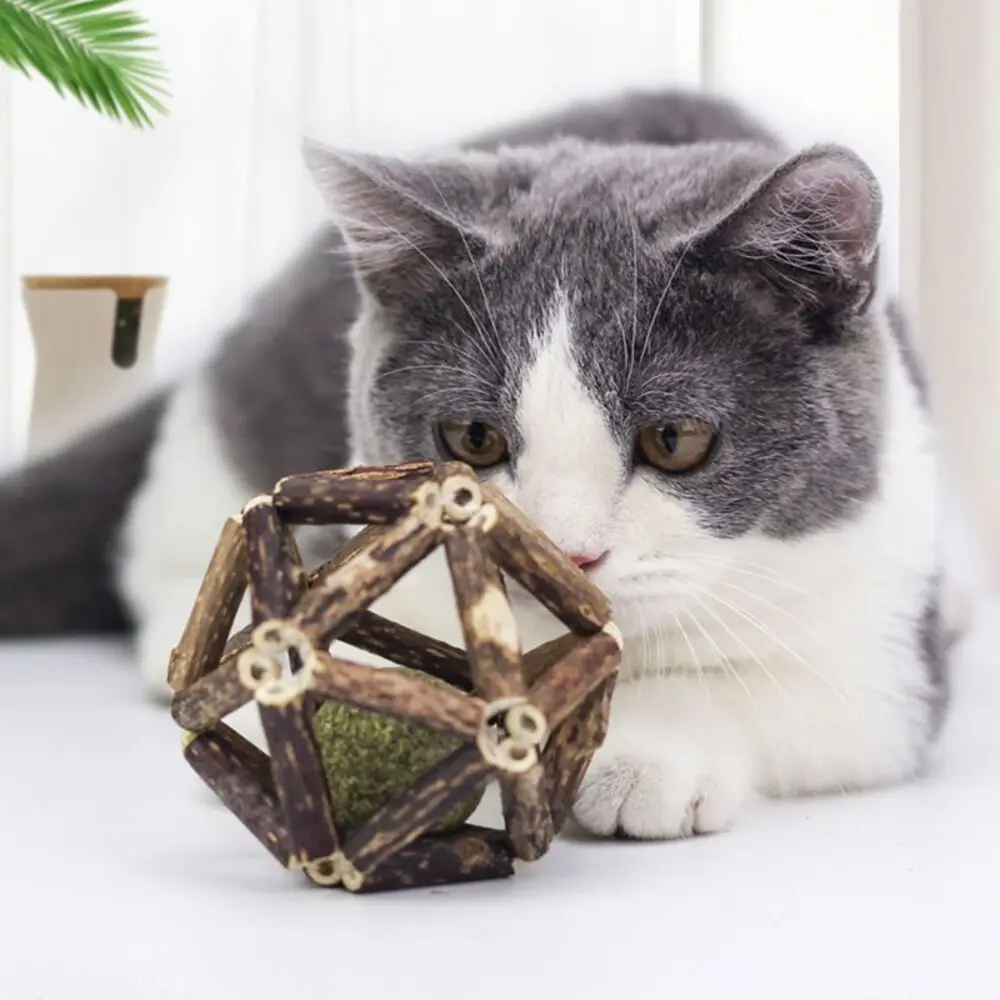 Fun With Bell Catnip Ball Self-Entertainment Teasing Grinding Cat Bell Catnip Infused Bell Linglong Ball Interactive Play - Image 3