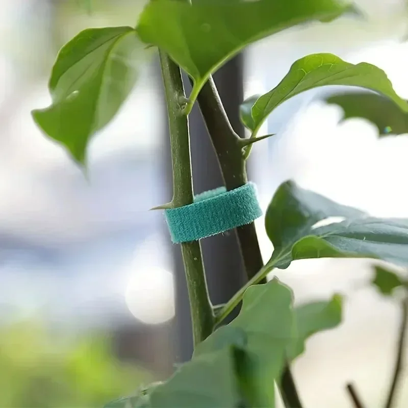 Garden Tape Nylon Cable Tie for Plants Flowers Growing Climbing Reusable Plant Support Hook-and-loop Fastener Garden Accessories - Image 2
