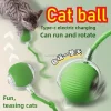 Interactive Cat Ball Toys Automatic Rolling Ball Faux Tail Rechargeable Pet Electric Toy Dog Cat Training Imitate Mouse Pet Toys