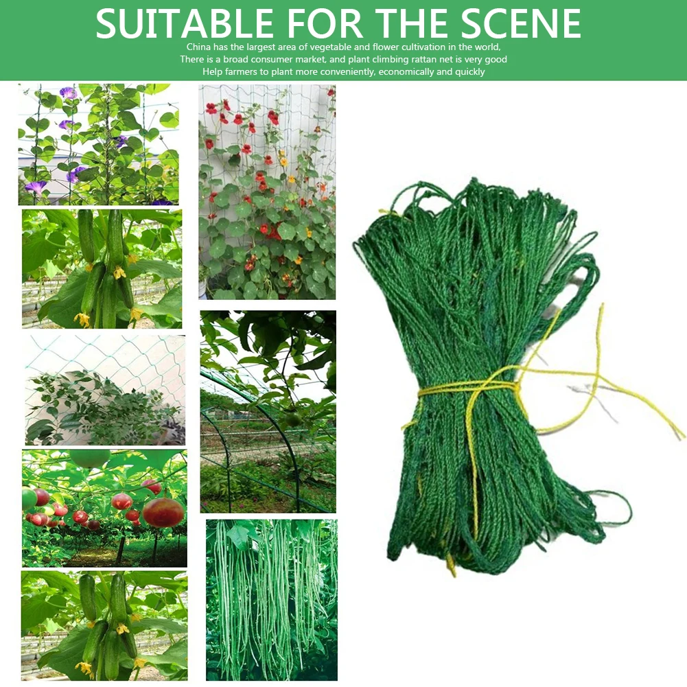 New Duty Plant Climbing Net PE Trellis Netting for Garden Vegetables Vines Reusable Rust-Proof Support Mesh Easy Install & Cut - Image 3
