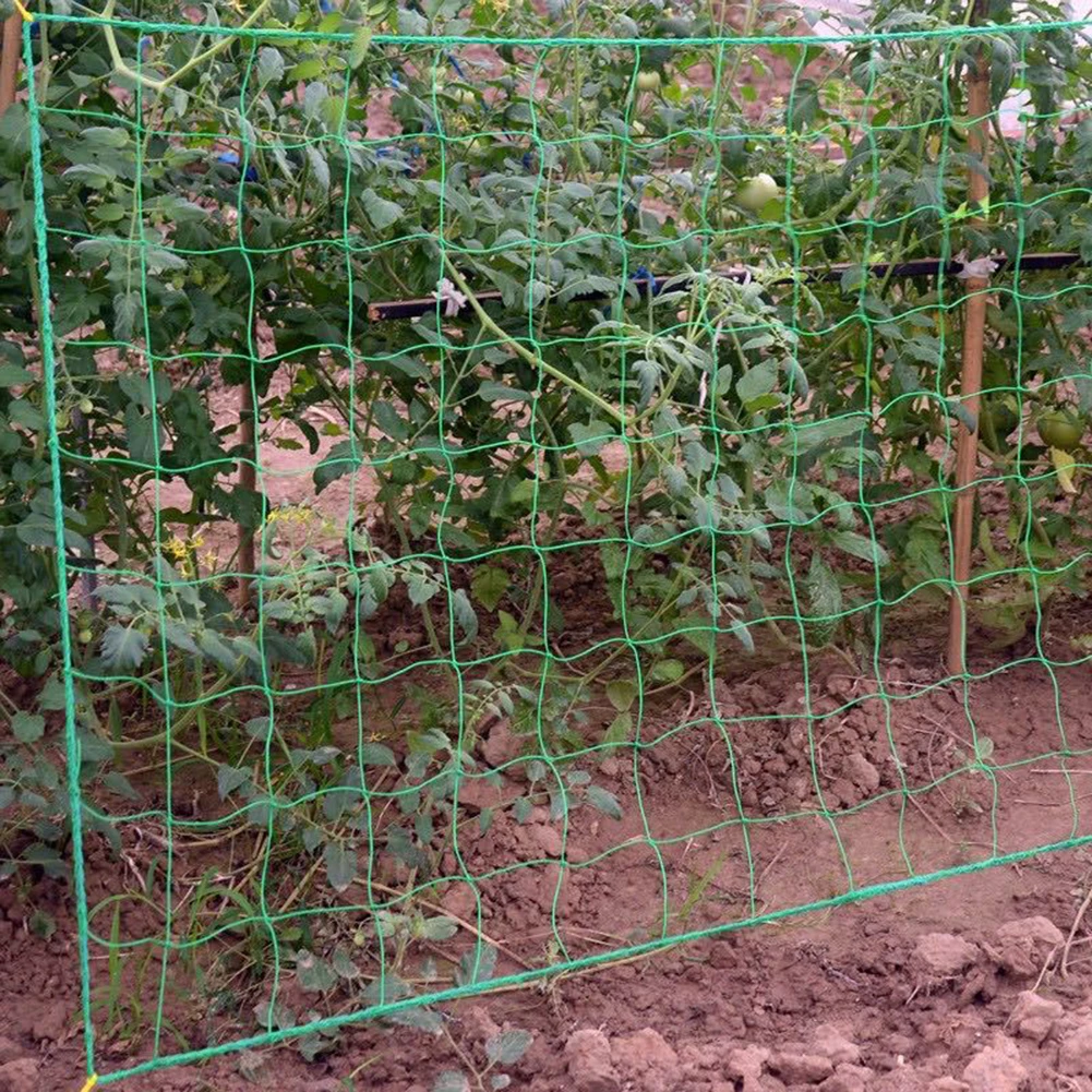 New Duty Plant Climbing Net PE Trellis Netting for Garden Vegetables Vines Reusable Rust-Proof Support Mesh Easy Install & Cut - Image 4