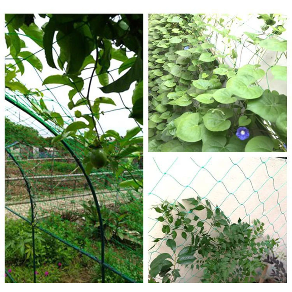 New Duty Plant Climbing Net PE Trellis Netting for Garden Vegetables Vines Reusable Rust-Proof Support Mesh Easy Install & Cut - Image 5